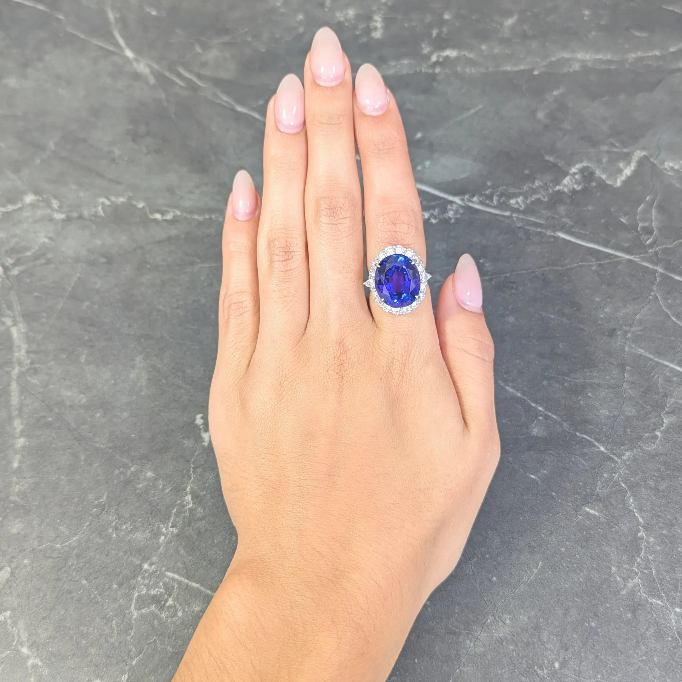 Contemporary 19.45 CTW Tanzanite Diamond Platinum Halo Ring