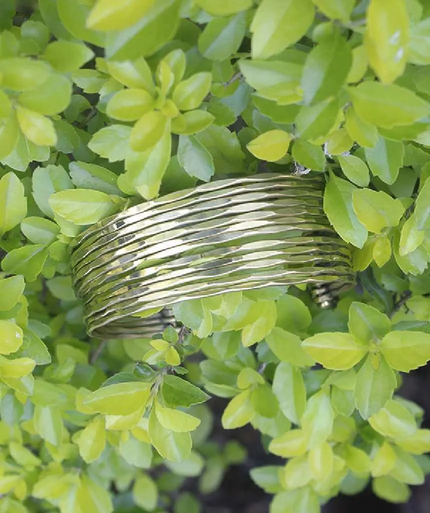 Multistrand Statement Brass Cuff