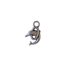 Silver Dolphin Charm 2